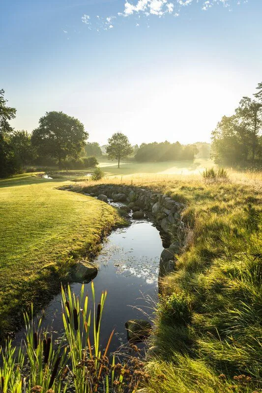 Bachlauf am Golfplatz im Morgennebel