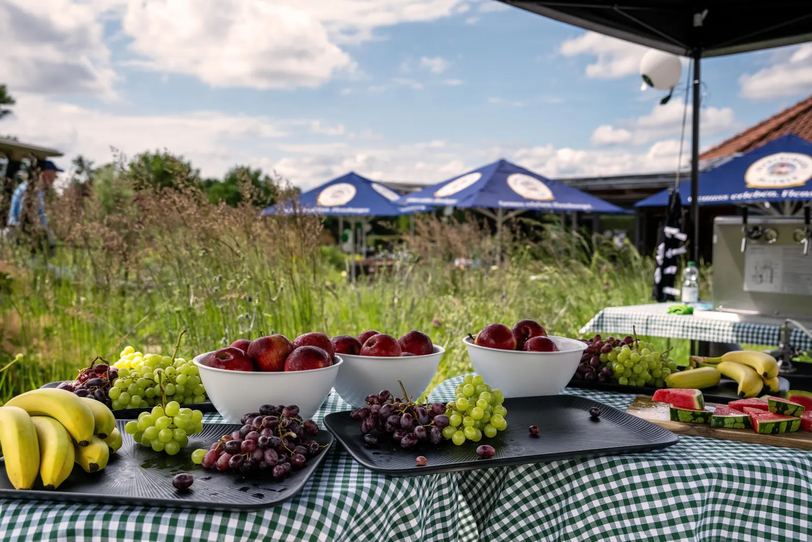 Frisches Obst-Buffet mit Trauben, Äpfeln und Melone